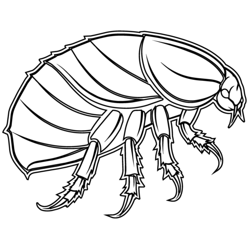 floh.zone Logo